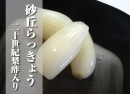 砂丘らっきょう 二十世紀梨酢入り／幸屋浅漬本舗