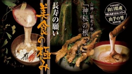 自然薯と山子ごはんの感謝セット／やまいもまつり