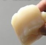 天然ホタテ貝柱